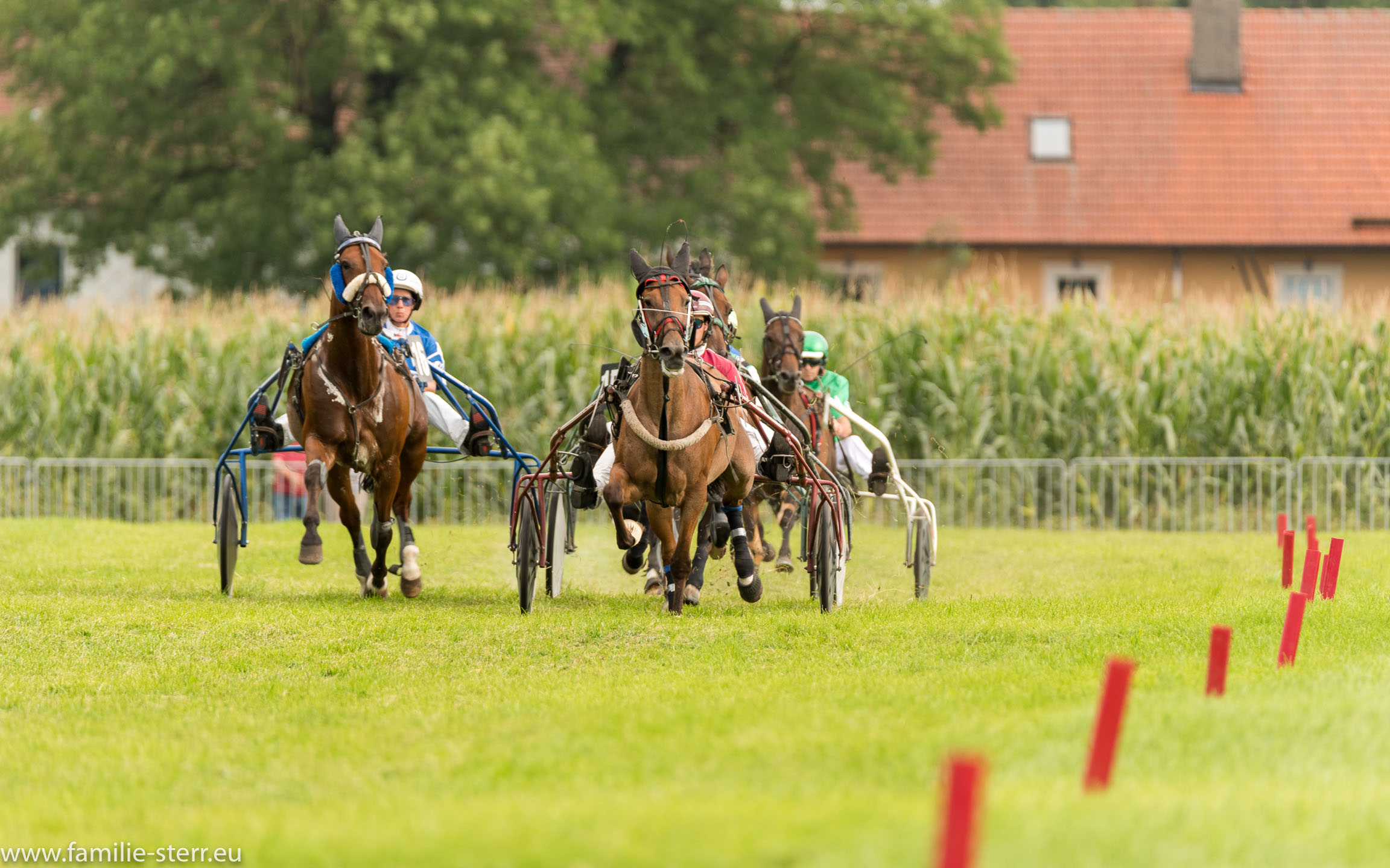 Trabrennen in Erding 2017